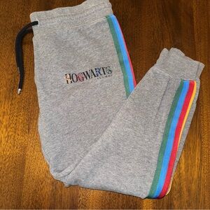 Universal Studios Harry Potter Hogwarts Alumni Gray Jogger Sweatpants Size Small